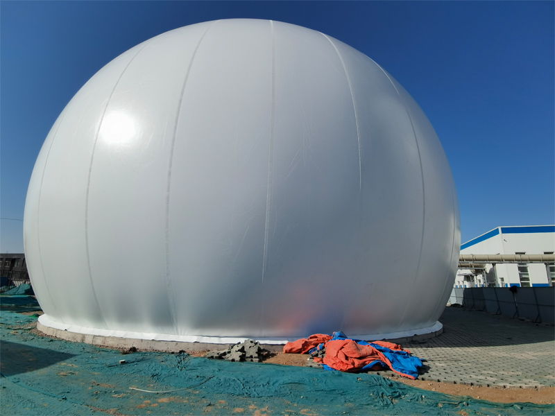 雙膜獨立氣柜項目